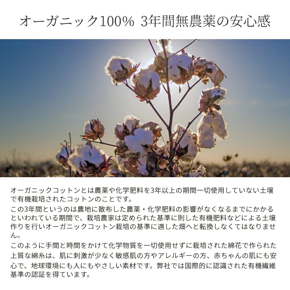 タオル 1119-0013