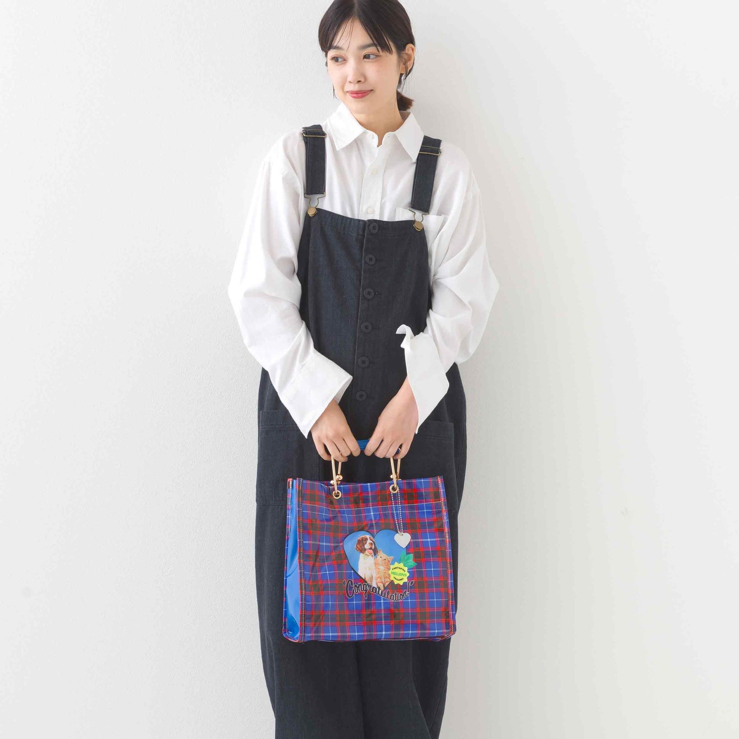 バッグ 245-140504