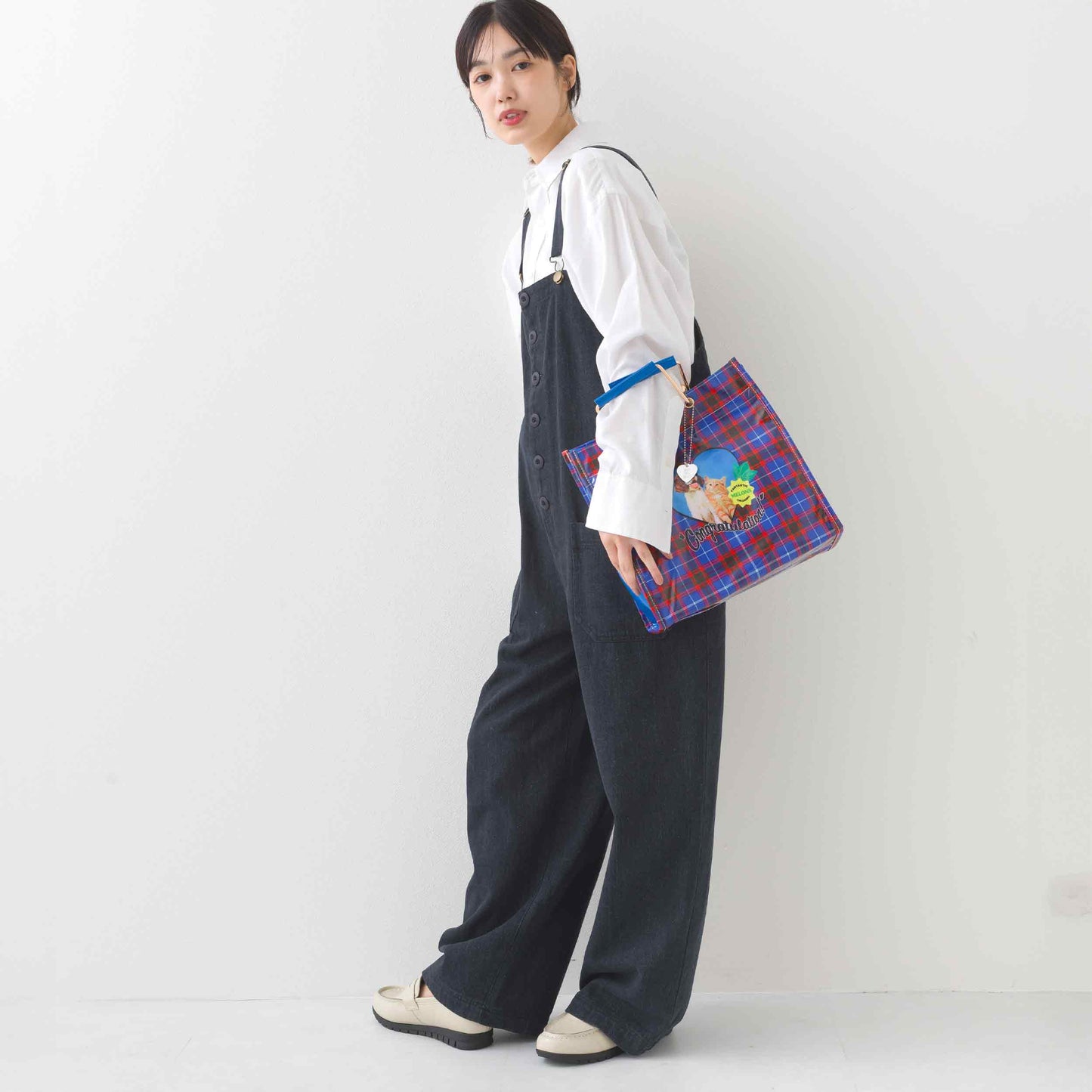バッグ 245-140504