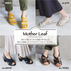 Mother Leaf人気です☆★☆