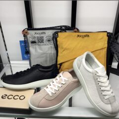 秋晴れには　ｅｃｃｏ　でウォーキング